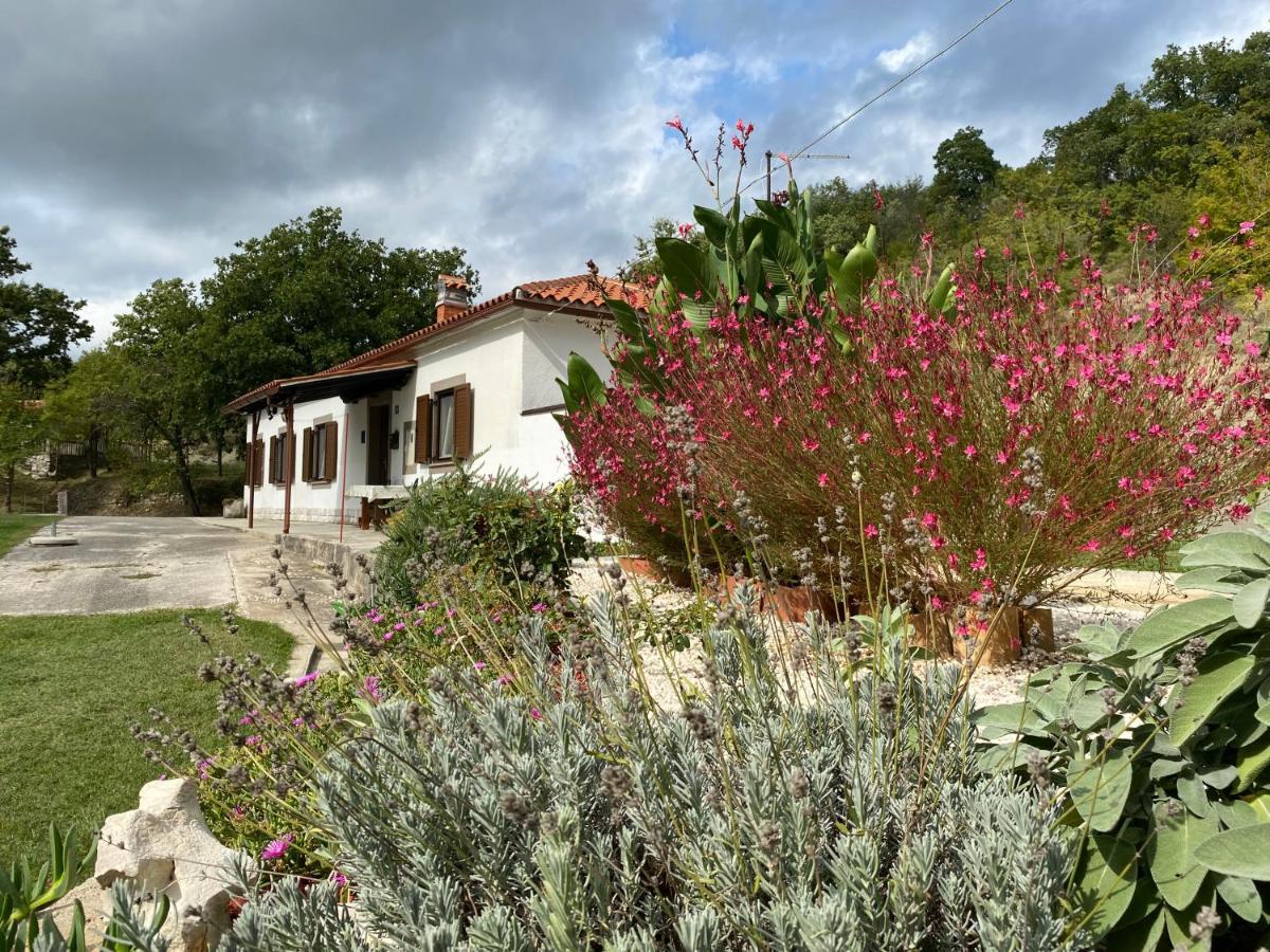 Istrian House In The Heart Of Tupljak - Smilovic Potpićan Extérieur photo